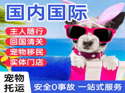 盐城机场快递国际宠物托运 【国